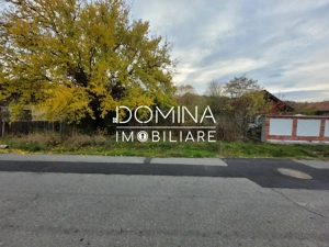 Vanzare teren intravilan, 4967  mp, utilitati, sat Rasova, Balesti. - imagine 6