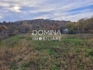 Vanzare teren intravilan, 4967  mp, utilitati, sat Rasova, Balesti.