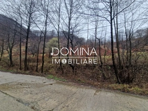 Vânzare teren,  situat în  Comuna Peștișani , sat Gureni - zonă de munte - imagine 2