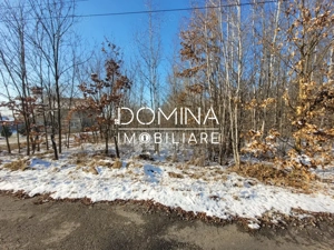 Vânzare teren intravilan situat în comuna Scoarța, sat Pișteștii din Deal - imagine 2