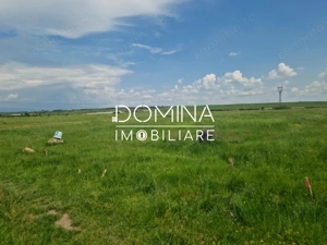 Vânzare teren extravilan situat în Târgu Jiu, strada Ciocârlău - imagine 5