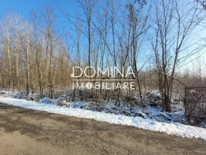 Vânzare teren intravilan situat în comuna Scoarța, sat Pișteștii din Deal - imagine 3