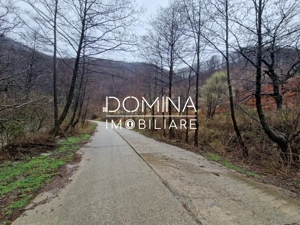 Vânzare teren,  situat în  Comuna Peștișani , sat Gureni - zonă de munte - imagine 3