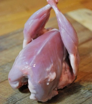 vand carne de prepelițe  - imagine 2