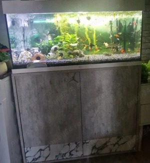 Acvariu Juwel 180 L complet echipat  - imagine 3