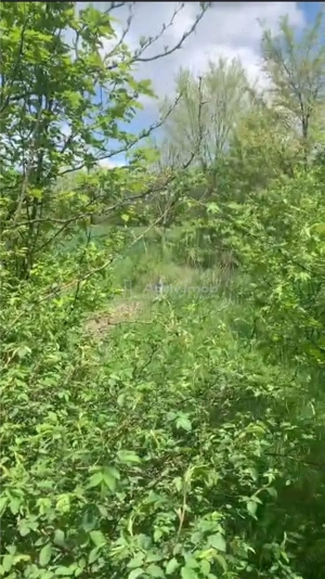 Teren intravilan 500 mp - Ganeasa