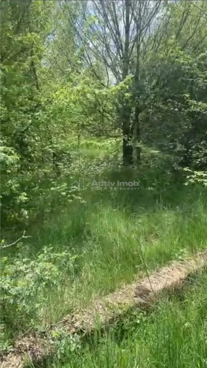 Teren intravilan 500 mp - Ganeasa - imagine 4