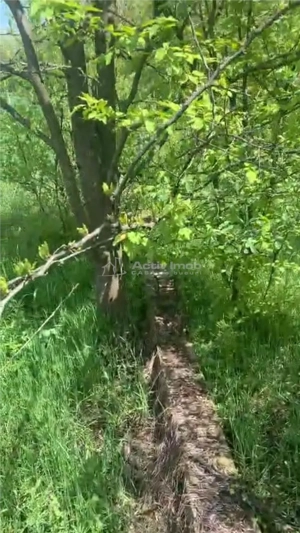 Teren intravilan 500 mp - Ganeasa - imagine 5