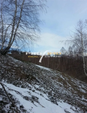 Moeciu, Drumul Carului, teren 3750 mp, 75000 euro - imagine 7