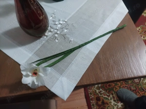 Pitiga  Iuliana - imagine 3