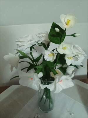 Pitiga  Iuliana - imagine 2