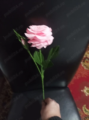 Pitiga  Iuliana - imagine 4