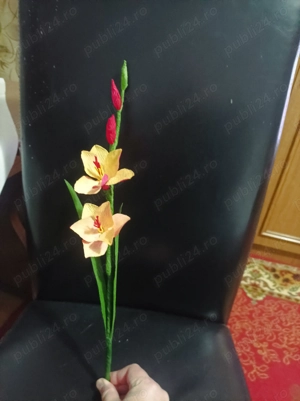 Pitiga  Iuliana - imagine 5