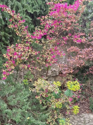 Teren intravilan , centru Parța