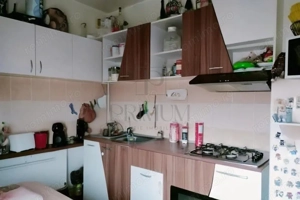 Apartament 1 camera-Centrala-Lipovei - imagine 2