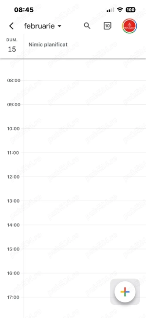 Mascul beagle culoare speciala . - imagine 3