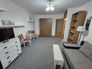 Lacul Tei inchiriere garsoniera Berechet