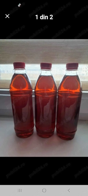 Sirop din muguri de bradrad 