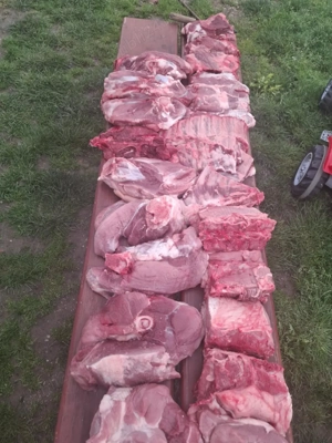 vînd carne de porc - imagine 2