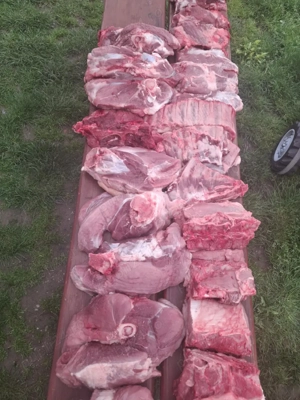 vînd carne de porc - imagine 3