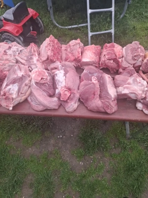 vînd carne de porc