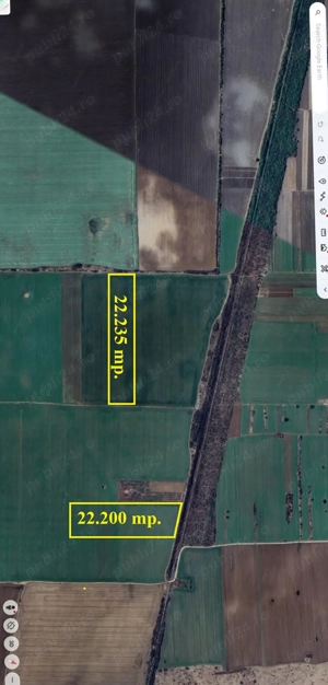 Gradistea - Sat Sitaru, Tarla 43, cu acces direct din DJ101, 22.200 mp. teren - imagine 4