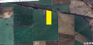 Gradistea - Sat Sitaru, Tarla 43, cu acces direct din DJ101, 22.200 mp. teren - imagine 2