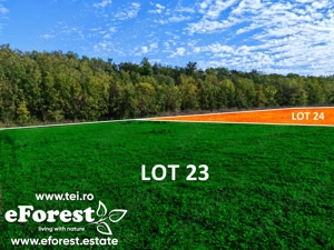 Loturi de casă între 2 păduri, cu intrare din DN, eForest, după Buftea - imagine 2