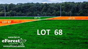 Loturi de casă între 2 păduri, cu intrare din DN, eForest, după Buftea - imagine 6