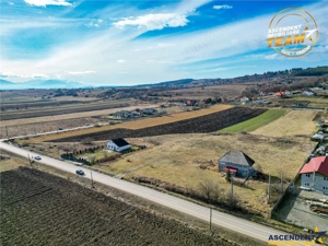 Proprietate remarcabila: 32.000mp teren, acces direct DJ112,Ilieni,Covasna - imagine 5