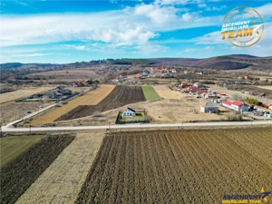 Proprietate remarcabila: 32.000mp teren, acces direct DJ112,Ilieni,Covasna - imagine 6