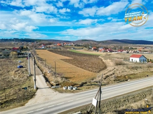 Proprietate remarcabila: 32.000mp teren, acces direct DJ112,Ilieni,Covasna - imagine 8