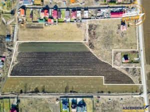 Proprietate remarcabila: 32.000mp teren, acces direct DJ112,Ilieni,Covasna - imagine 2