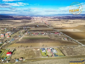 Proprietate remarcabila: 32.000mp teren, acces direct DJ112,Ilieni,Covasna - imagine 11
