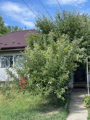 Casa spatioasa 120 mp si 500 mp curte gradina in zona Tg cucu C.A, Rosetti Str. Brandusa - imagine 5