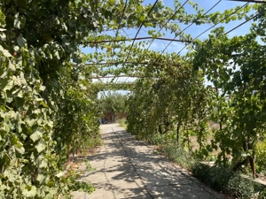 Casa de vanzare comuna Cobadin, Constanta - imagine 6