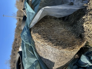 Vând baloți de paie 