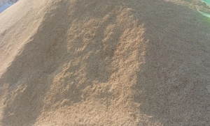 Vând orz bun pentru animale!