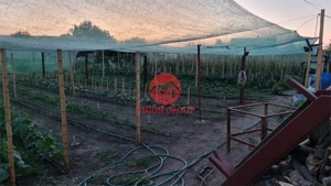 Casa Batraneasca in Topraisar cu Teren de 1711 mp si Deschidere 42 ml - imagine 8