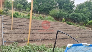 Casa Batraneasca in Topraisar cu Teren de 1711 mp si Deschidere 42 ml - imagine 4