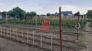 Casa Batraneasca in Topraisar cu Teren de 1711 mp si Deschidere 42 ml - imagine 7