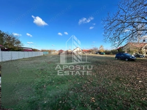 Parcela 1000 mp, de vanzare,  case noi, Peciu Nou, Jud. Timis - imagine 2