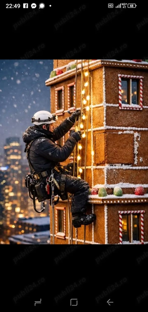 Alpinist utilitar Timiș