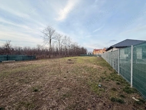 Ofer spre chirie Teren in Horia ,910 MP 18,50 ML deschidere ,300 euro  luna  - imagine 14