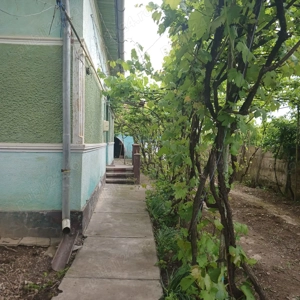 Casa de vanzare - imagine 4