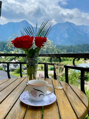 VILA CARTIER ZAMORA//BUSTENI - imagine 13