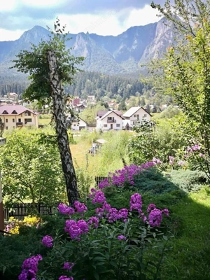 VILA CARTIER ZAMORA//BUSTENI - imagine 5