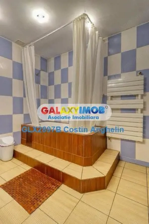 Vila Premium 5 Camere - Kiseleff   Victoriei - imagine 6