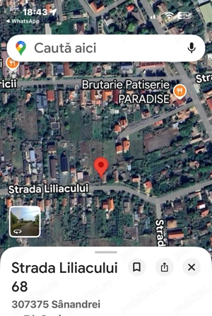  teren intravilan 897 mp Sanandrei, strada asfaltata - 50.000   