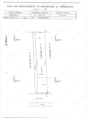  teren intravilan 897 mp Sanandrei, strada asfaltata - 50.000    - imagine 2